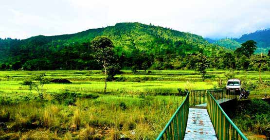 Jhalong