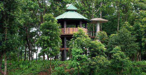 Madarihat