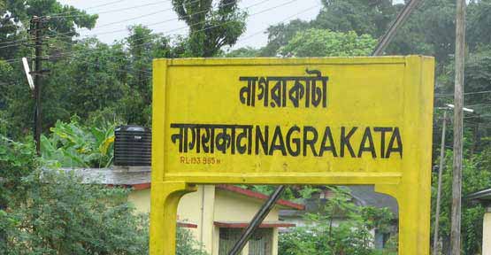 Nagrakata