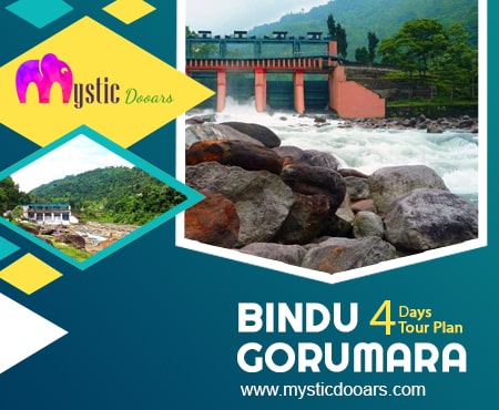 Bindu Package Tour for 4 Days