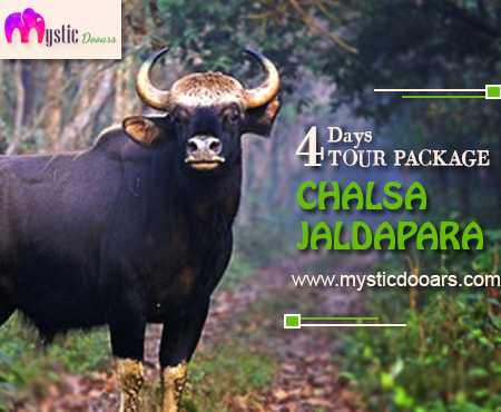 Chalsa Jaldapara Package Tour for 4 Days