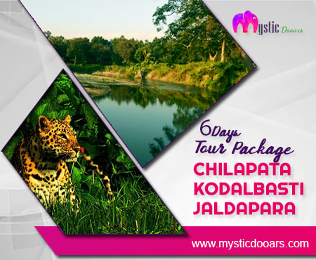 Chilapata Kodalbasti Jaldapara Package Tour for 6 Days