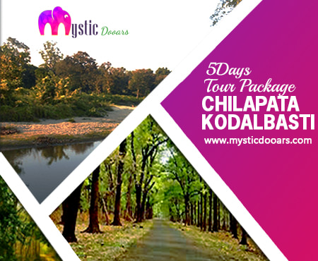 Chilapata Kodalbasti Package Tour for 5 Days