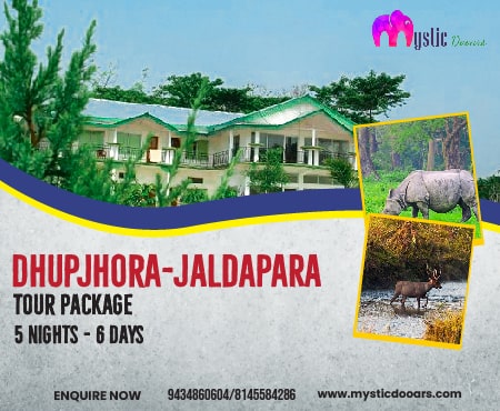 Dhupjhora-Jaldapara Tour Package for 6 Days