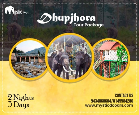 Dhupjhora Tour Package for 3 Days
