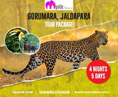 Gorumara Jaldapara 4 Nights 5 Days Tour Package