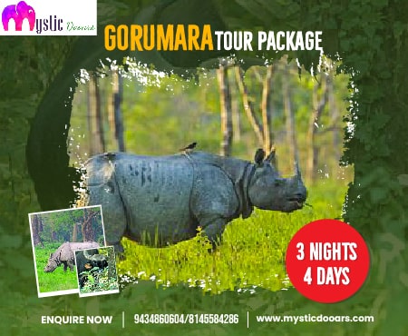 Gorumara Tour Package 3 Nights 4 Days