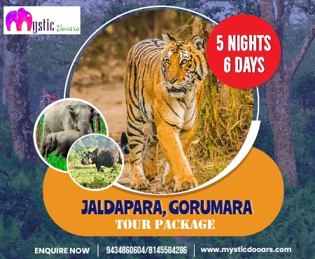 Jaldapara Gorumara 5 Nights 6 Days Package