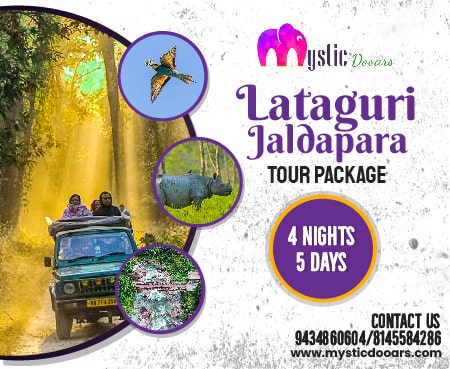 Lataguri Jaldapara 4 Nights 5 Days Tour Package