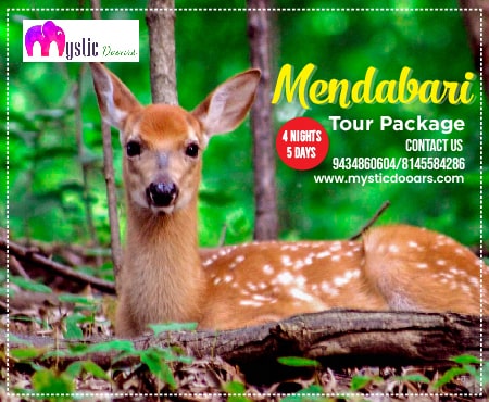 Mendabari Tour Package for 5 Days