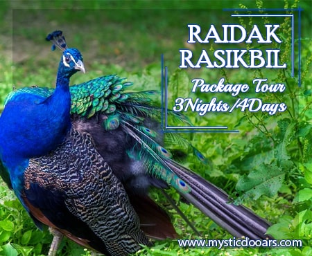 Raidak Package Tour for 4 Days