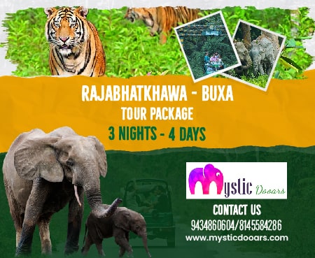 Rajabhatkhawa Buxa Package Tour 3 Nights 4 Days